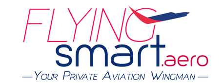 Flying Smart Ltd logo